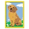 RAVENSBURGER SCHILDEREN OP NUMMER LIEVE PUPPY -TOYS EN THINGS VLAARDINGEN Winkel ravensburger ravensburger schilderen op nummer lie